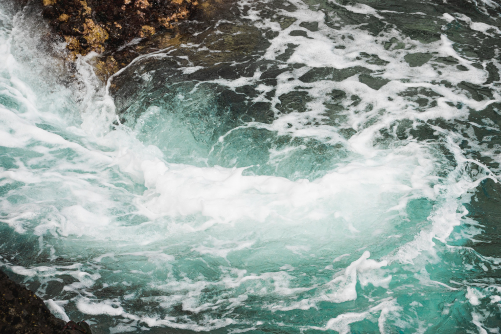 trauma informed nervous system healing work